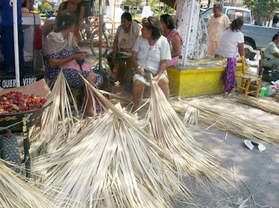 Toda Tierra Caliente Conociendo mas a Tlapehuala