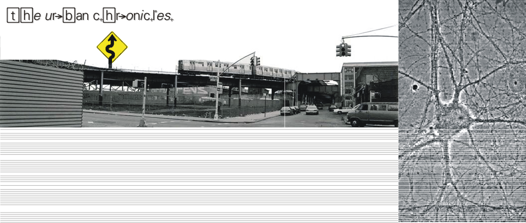 The Urban Chronicles