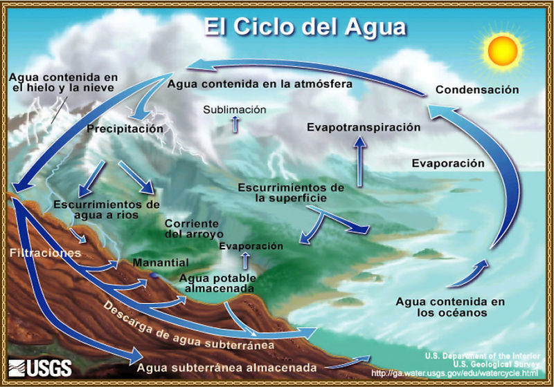 ECOLOGIA DEL AGUA ecologia del agua: