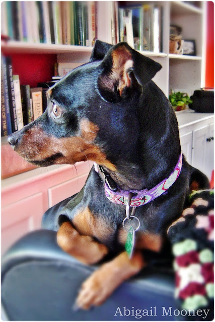 Bonnie