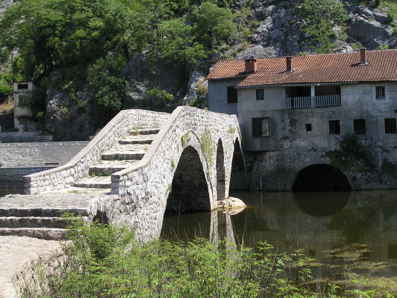 [rijeka-c.jpg]