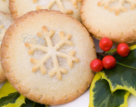 Christmas cookie ideas,Christmas Cookie Decorating: September 2010