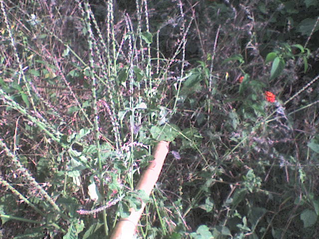[DSC00013.JPG]