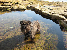 Jack's Swimming Pool