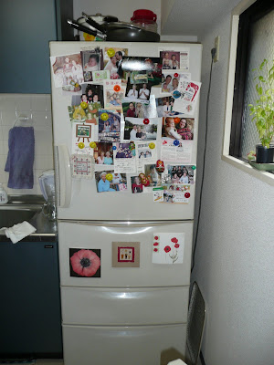 fancy fridge