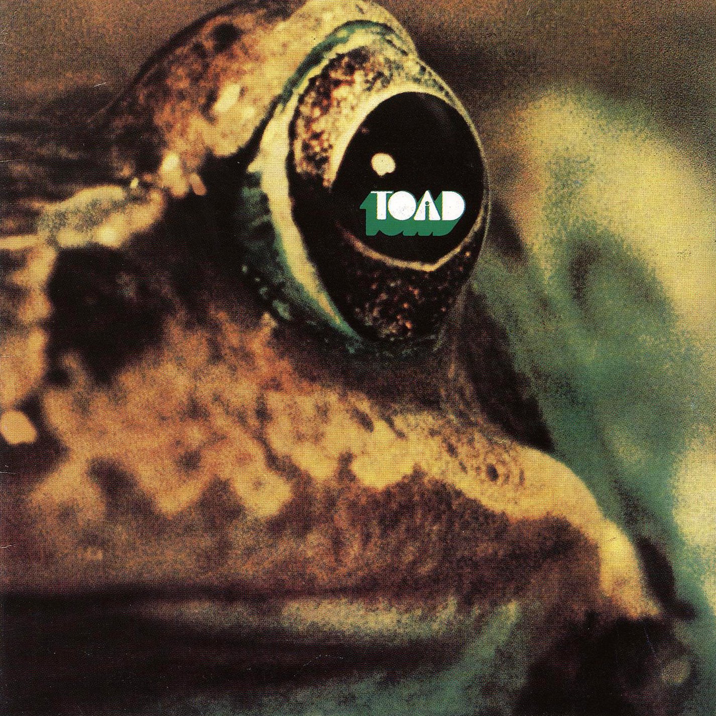 ¿Qué estáis escuchando ahora? Toad+-+Front