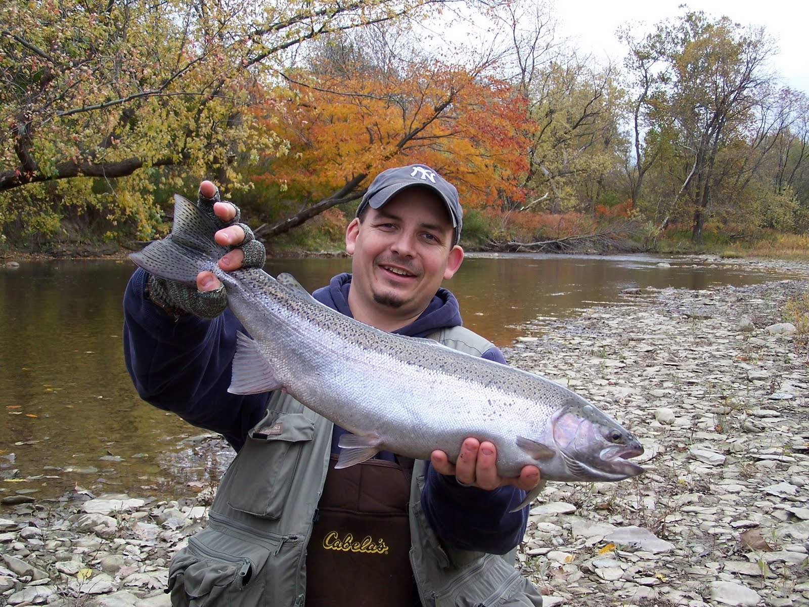 PA, OHio Steelhead Guides Fly Fishing Reports, fly tying tutorials