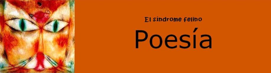 Sindromepoesía2