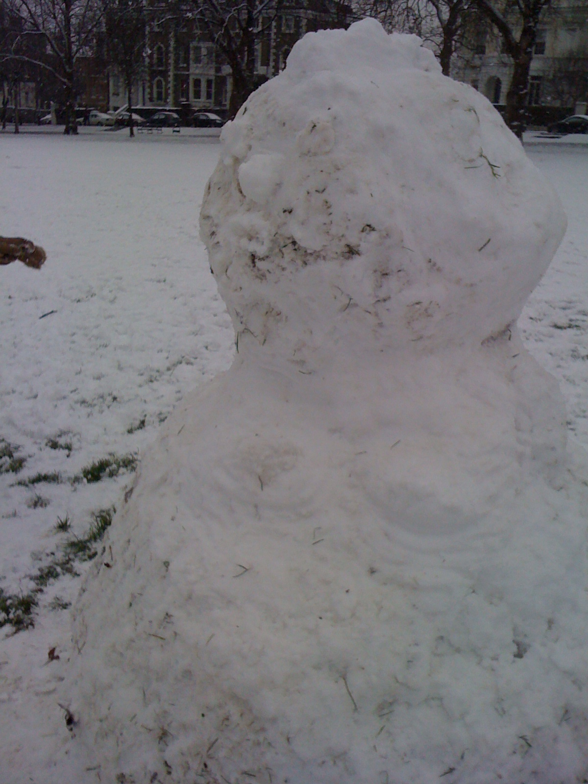 [IMG_0151.JPG]