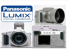 Panasonic LUMIX- DMC-FZ10