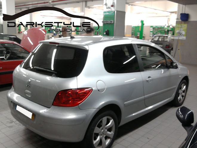 Peugeot 307 20%