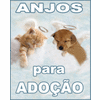 ANJOS DE 4 PATAS PARA ADOÇÃO !