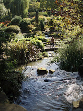 Regent's Park Waterfall