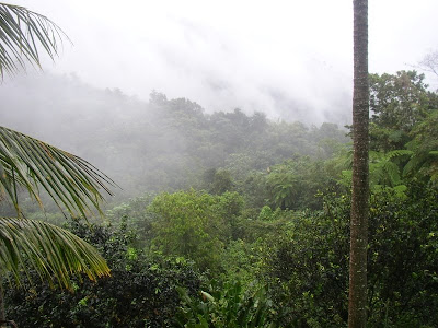 El Yunque