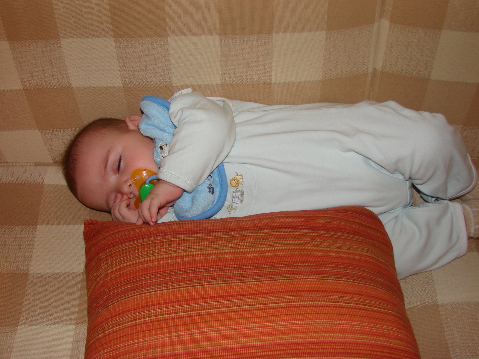 [DSC05456.JPG]