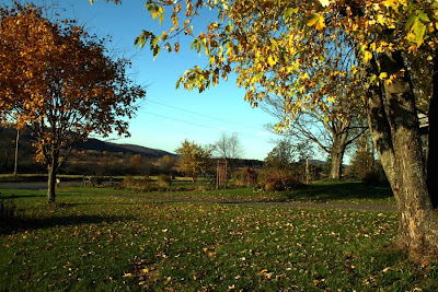Colors Of The Garden: October 2009