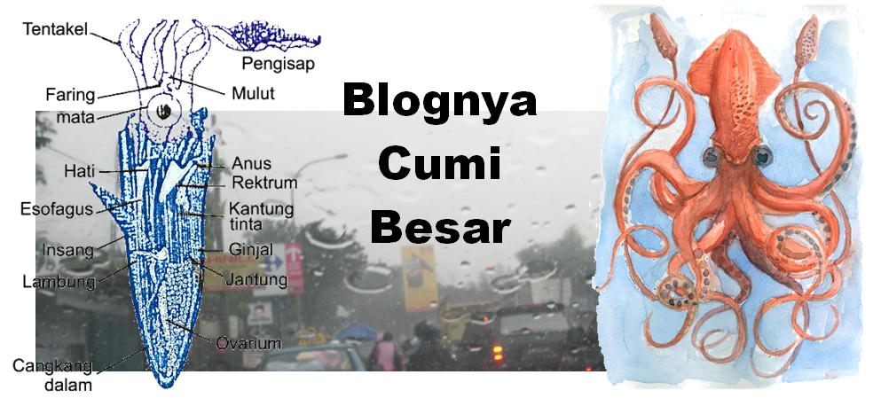 CUMI BESAR