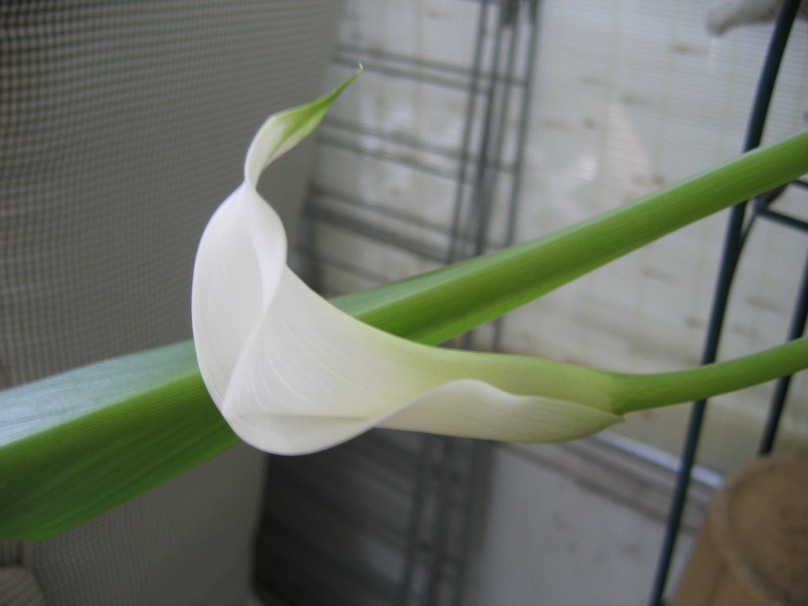 [IMG_3179.JPG]