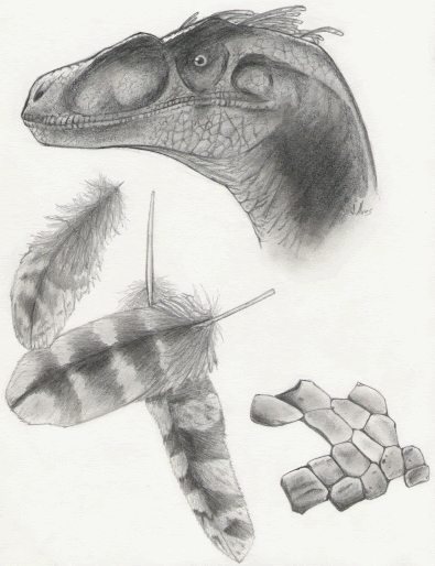 [Velociraptor.gif]