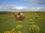 Algumas no Rancho Alegre..segue