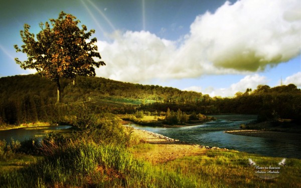 Landscape Manipulation Wallpapers-4