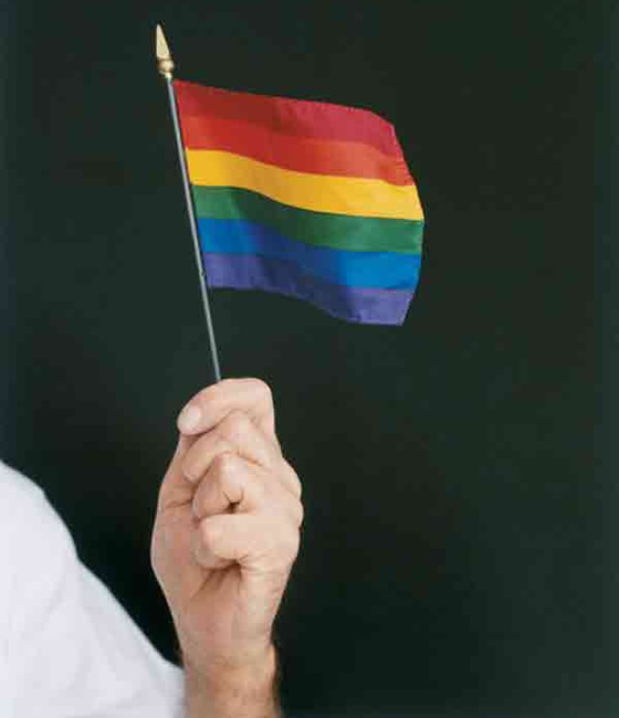 [lesbian-flag.jpg]
