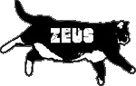 ZEUS