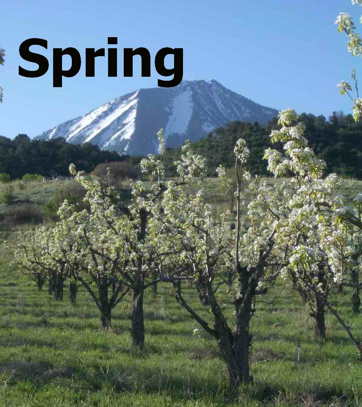 Excelsior Orchard, Paonia, CO The bond between Mother Nature and