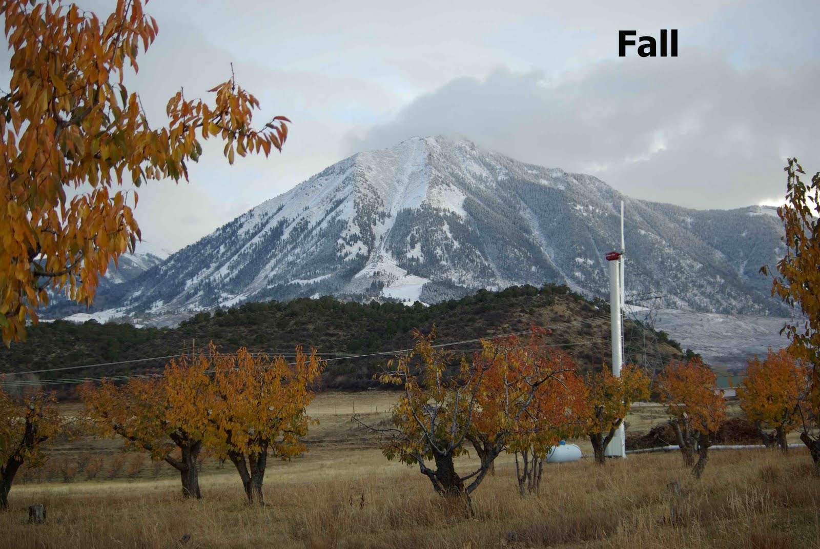 Excelsior Orchard, Paonia, CO The bond between Mother Nature and