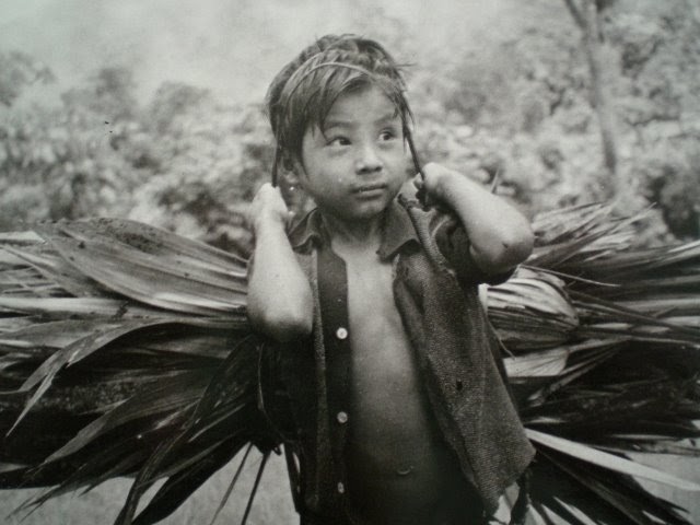 media technologies essays