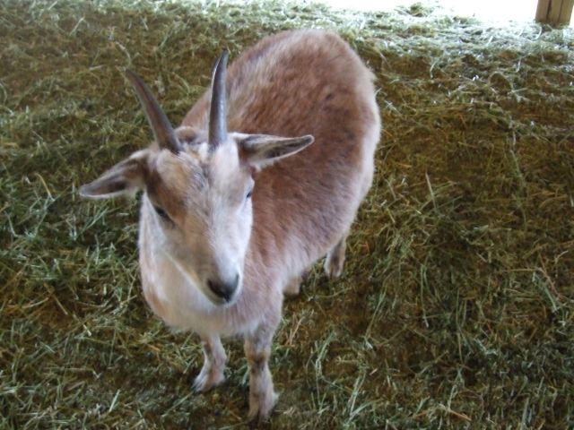 [Easter+Weekend+082.jpg]