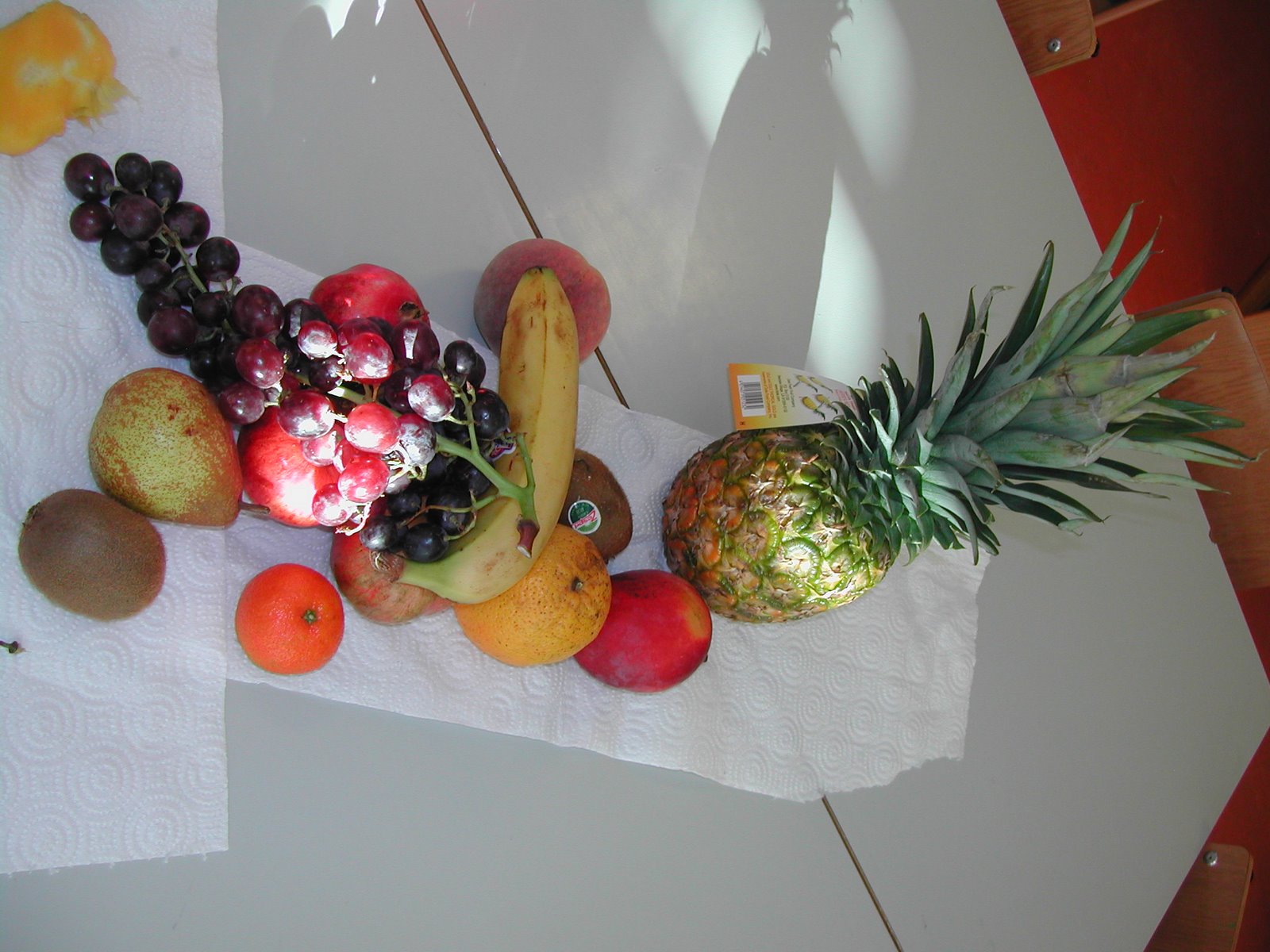 [DSCN0016.JPG]