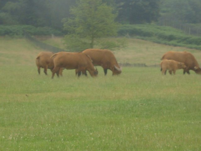 [DSC06890.JPG]