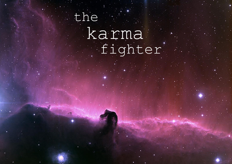 The Karma Fighter