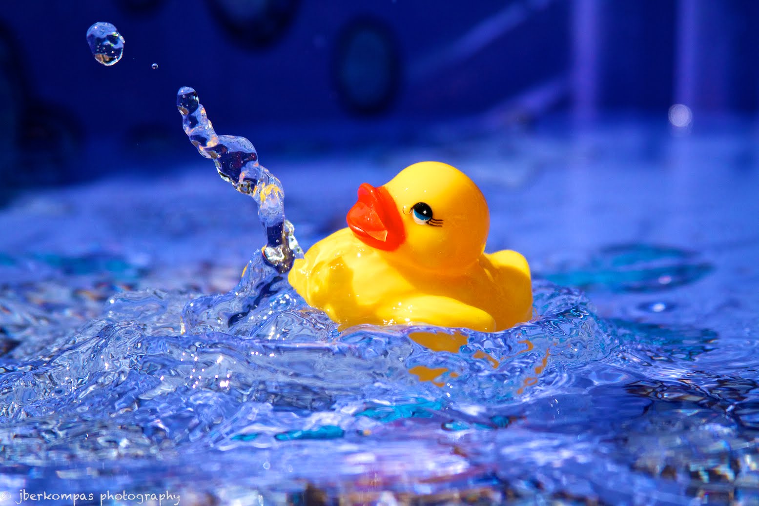 Rubber+ducky+in+pool+3.jpg (1555×1037) | The Birds & The Bees | Pinterest