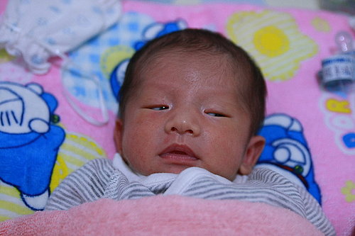 [ap_F23_20081015091456897.jpg]