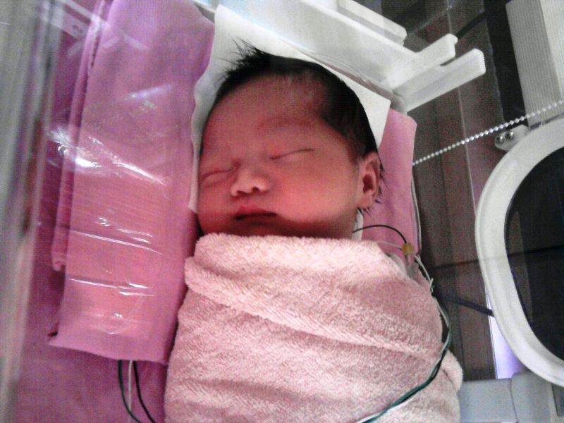 [P03-11-08_11.11.jpg]