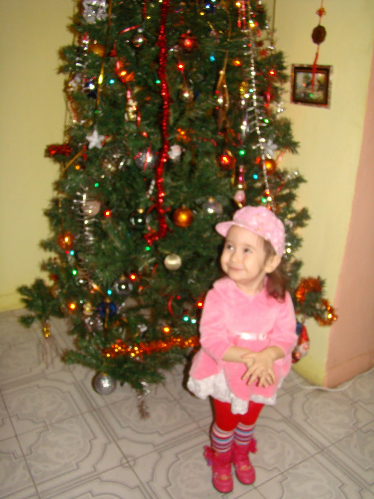 [DSC09077.JPG]