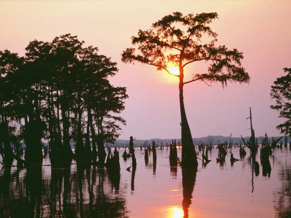 [Atchafalaya+Bayou,+Louisiana+-+1600x1200+-+ID+31.jpg]