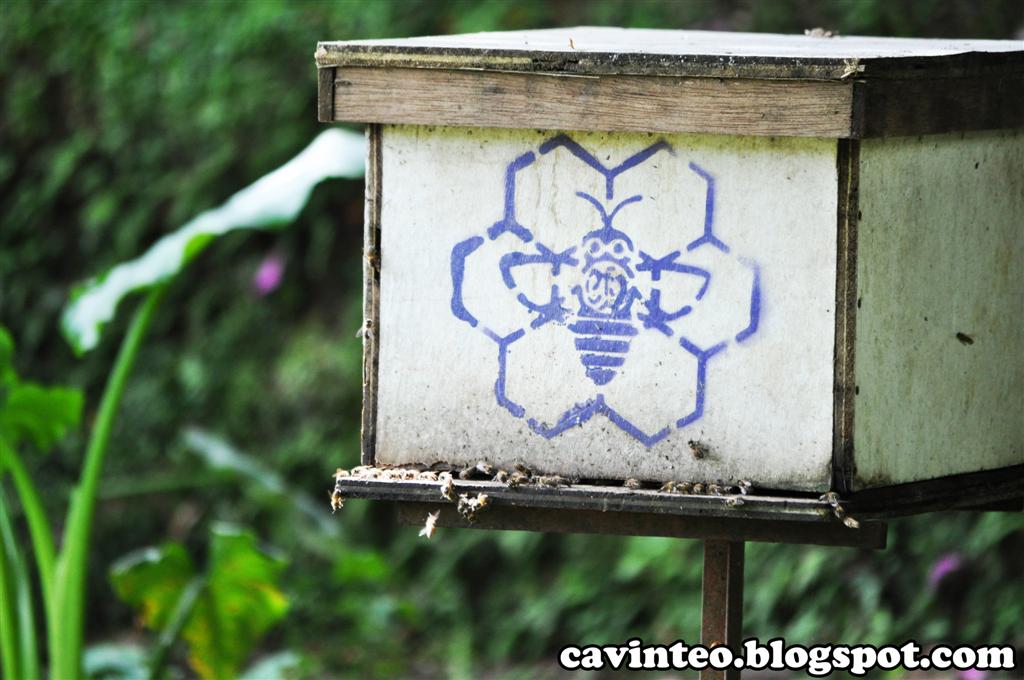 Entree Kibbles Honey Bee Farm Cameron Highlands