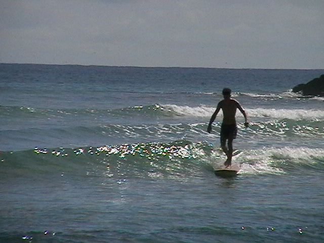[IMGA0826.JPG]