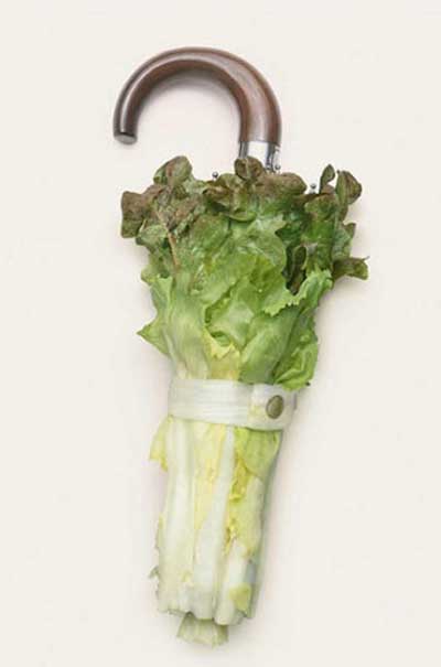 http://4.bp.blogspot.com/_VpsXU1UQibc/S9wORmOf0uI/AAAAAAAAA_Y/NfIEx7d2DXc/s1600/salad-umbrella.jpg