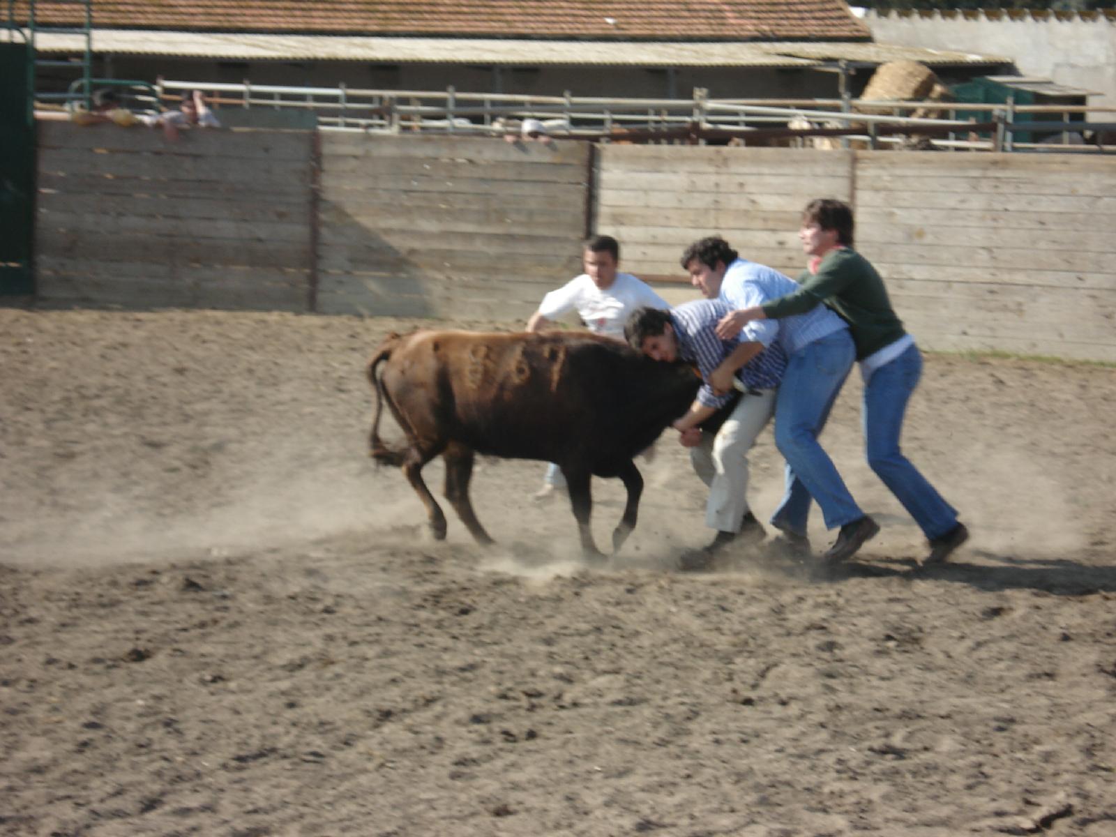 [DSC02623.JPG]
