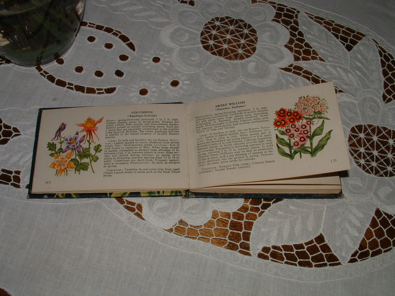 [Flower+book+008.jpg]
