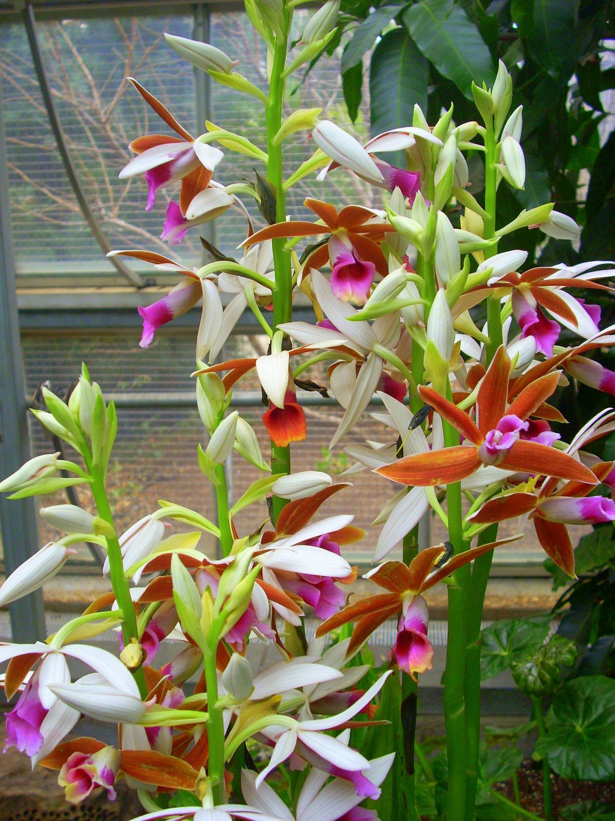 [DSCN0537.JPG]