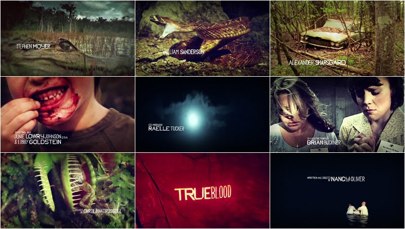 True Blood Vampire Series Overview