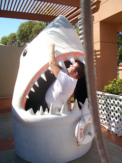 idiot book: completely unabridged and kind of not smart.: punching