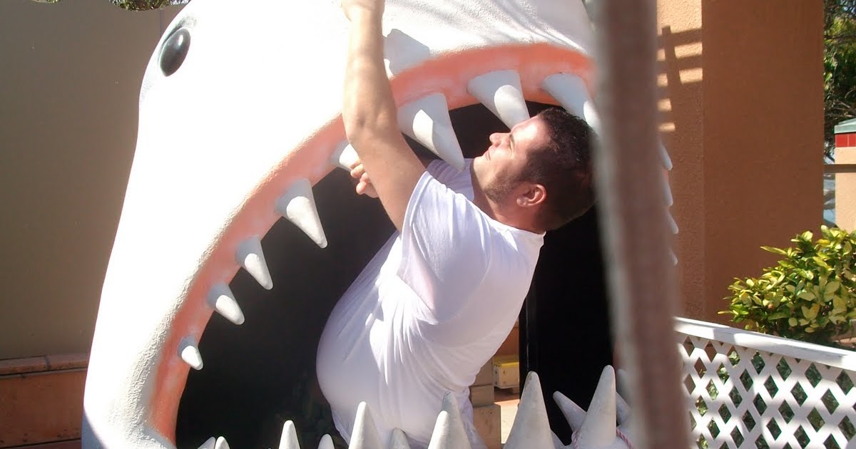 idiot book: completely unabridged and kind of not smart.: punching