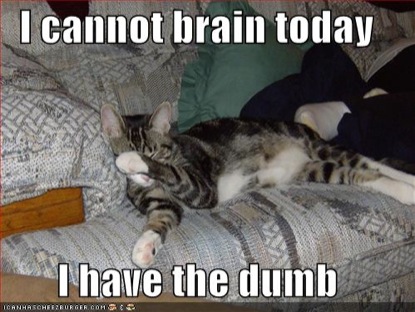 lost lolcat