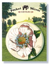 CARTOLINA POCKET MIRRORS